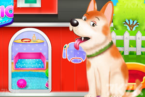 《小狗的房子装修》游戏画面3