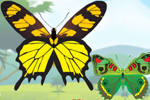 《美丽蝴蝶标本》游戏画面1