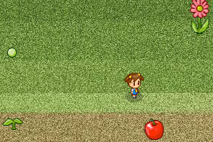 《大苹果农场》游戏画面1