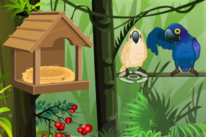 《森林养鹦鹉》游戏画面1