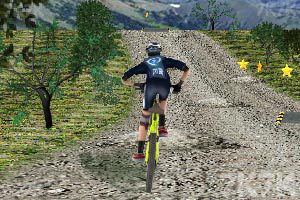 《山地自行车3D版》游戏画面8