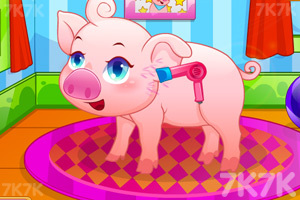 《照顾可爱宠物猪》游戏画面3