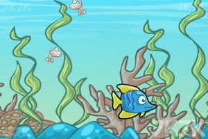 《深海鱼冠军赛2》游戏画面3