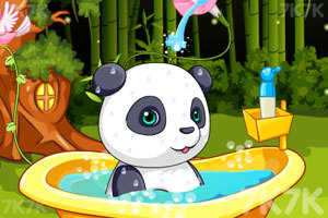 《照顾可爱大熊猫》游戏画面5