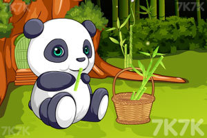 《照顾可爱大熊猫》游戏画面4