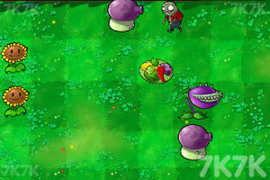 《植物大战僵尸羊年版》游戏画面5