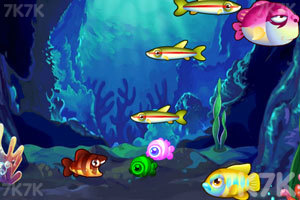 《一起吃鱼》游戏画面3