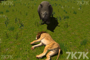 《模拟动物人生3》游戏画面2