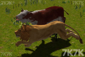 《模拟动物人生3》游戏画面3