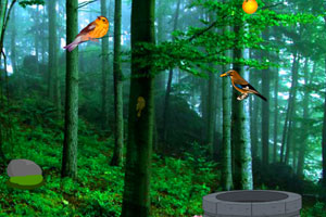 《小鸟森林逃脱》游戏画面1