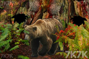 《逃离熊之家》游戏画面3