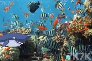 《海底营救热带鱼》游戏画面3