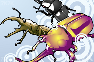 《昆虫演化》游戏画面1