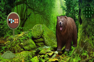 灰熊的森林逃生