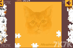 《个性猫拼图》游戏画面3