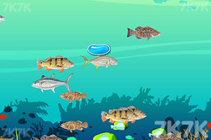 《大鱼吃小鱼2020》游戏画面1