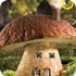 蘑菇小屋找星星